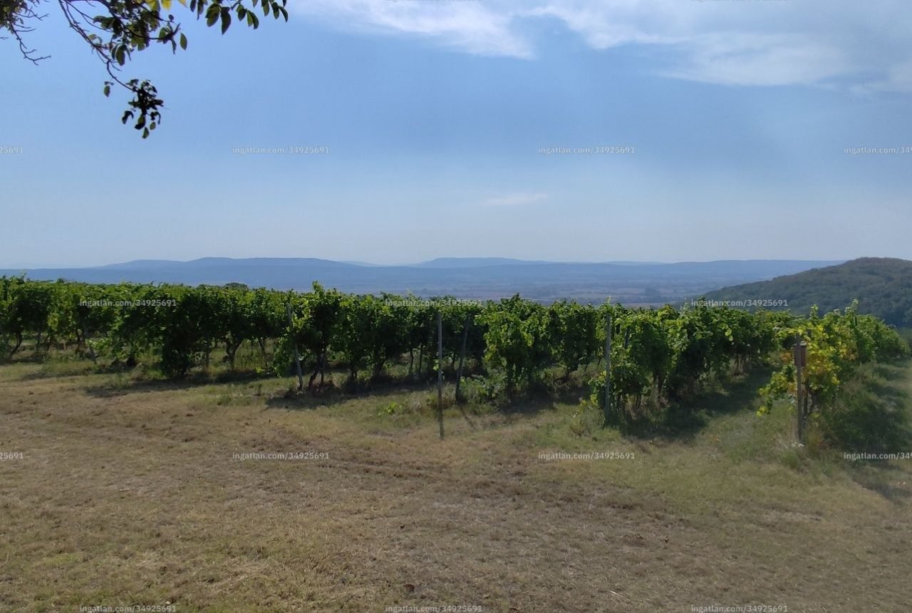 Zalaszentgrót, Csáford – 9