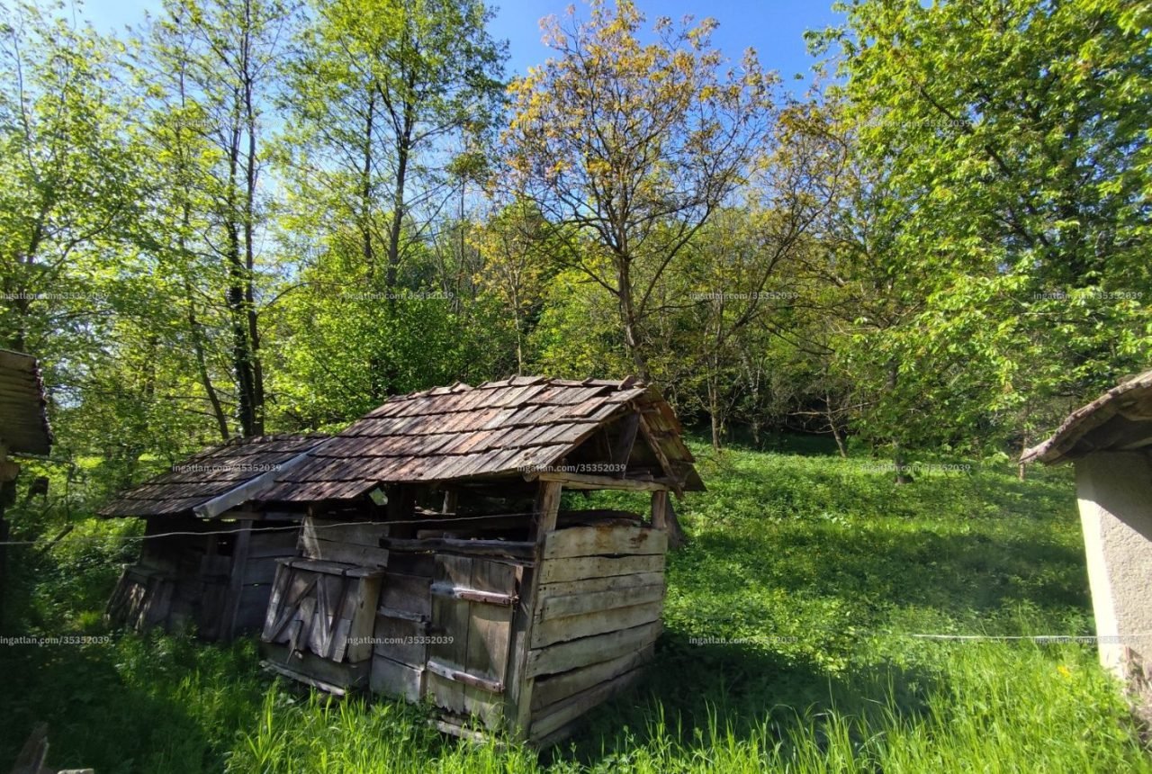Nagygörbő – 15